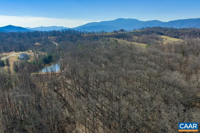 a view of a forest with mountains in the background