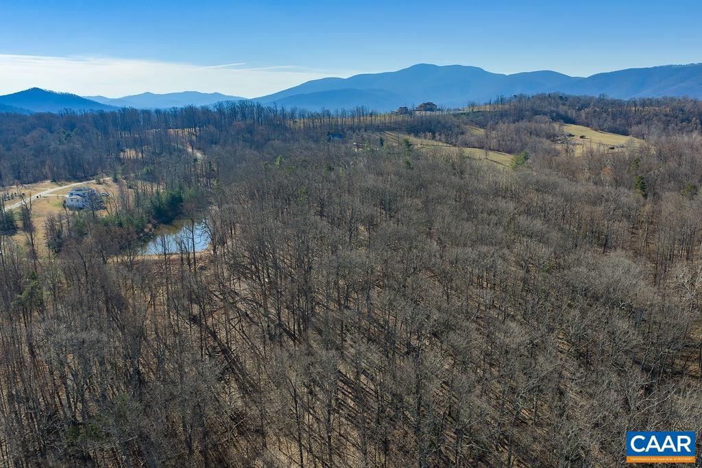 Lot 2 Handley Way Afton, VA 22920 - Photo 22 of 33 a view of a forest with mountains in the background