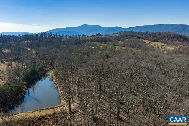 a view of a lake in middle of the forest