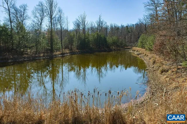 a view of a large body of water surrounded by trees