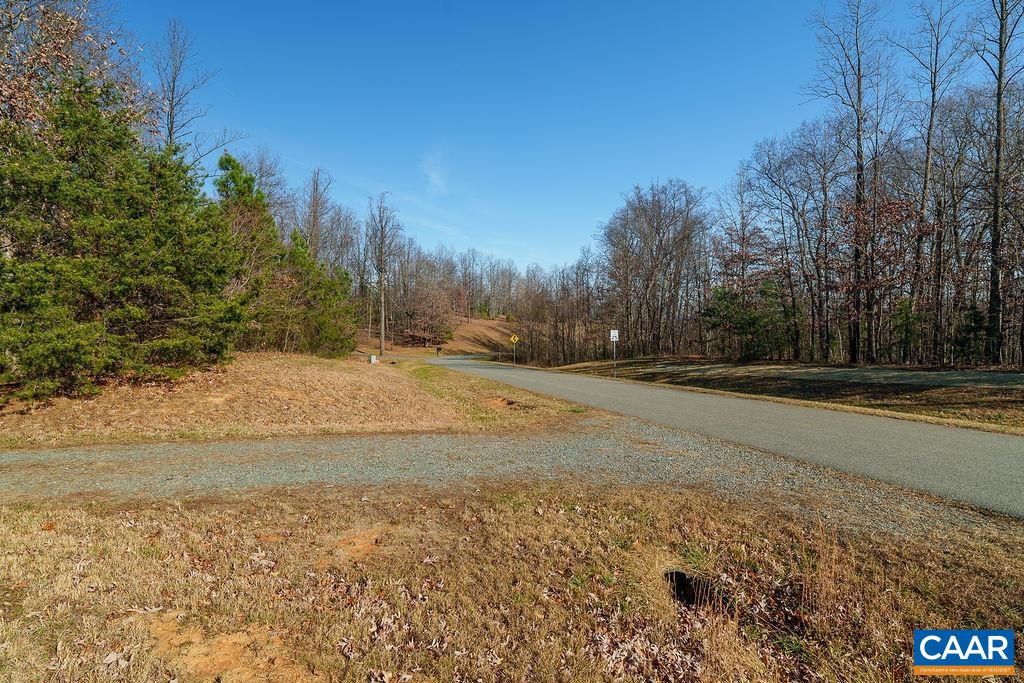 Lot 2 Handley Way Afton, VA 22920 - Photo 30 of 33 a view of dirt yard with trees