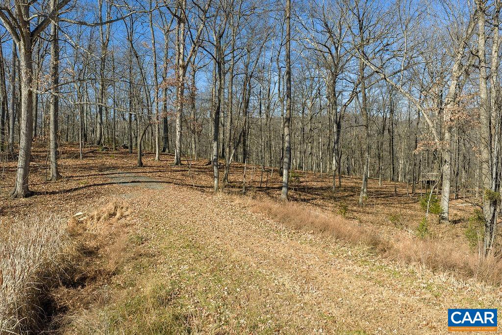 Lot 2 Handley Way Afton, VA 22920 - Photo 3 of 33 a view of outdoor space with trees