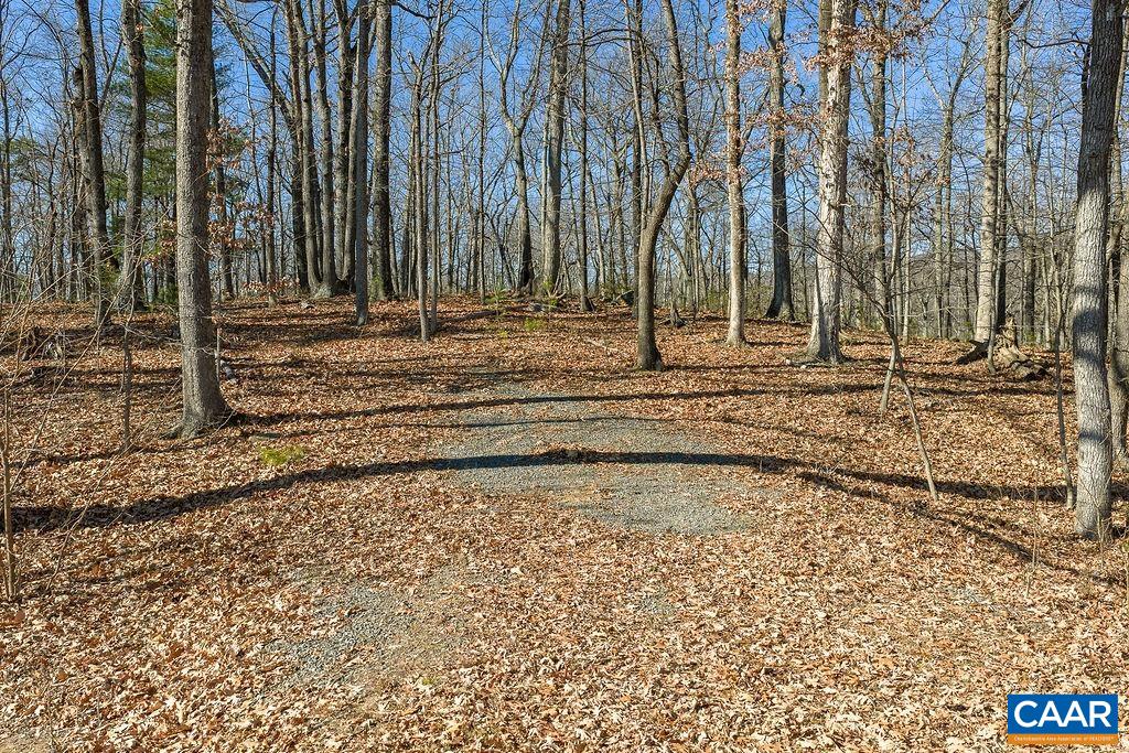 Lot 2 Handley Way Afton, VA 22920 - Photo 4 of 33 a view of a backyard with trees