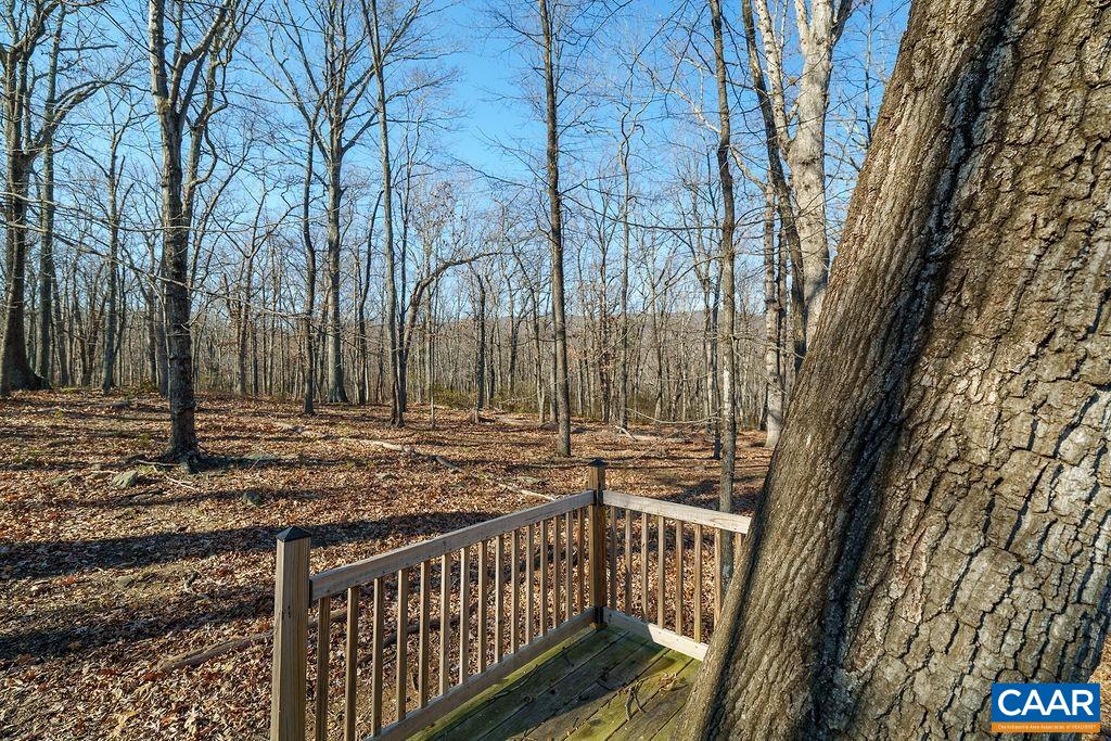 Lot 2 Handley Way Afton, VA 22920 - Photo 9 of 33 a view of a yard with large trees