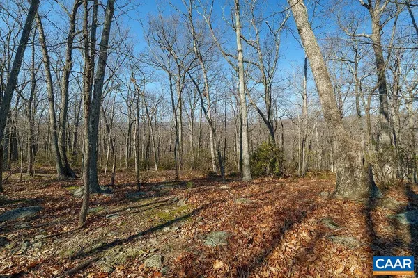 a view of outdoor space with trees