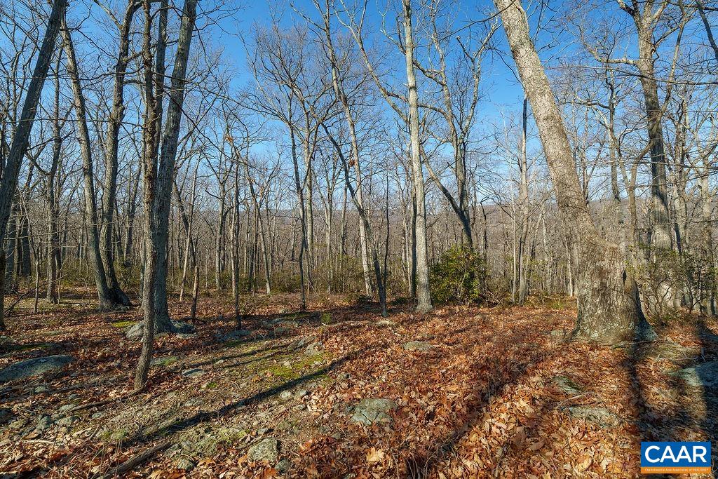 Lot 2 Handley Way Afton, VA 22920 - Photo 10 of 33 a view of outdoor space with trees
