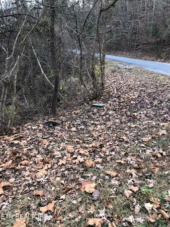 $45,000 | Lot #18 Stone Bridge Drive, Dandridge, TN 37725