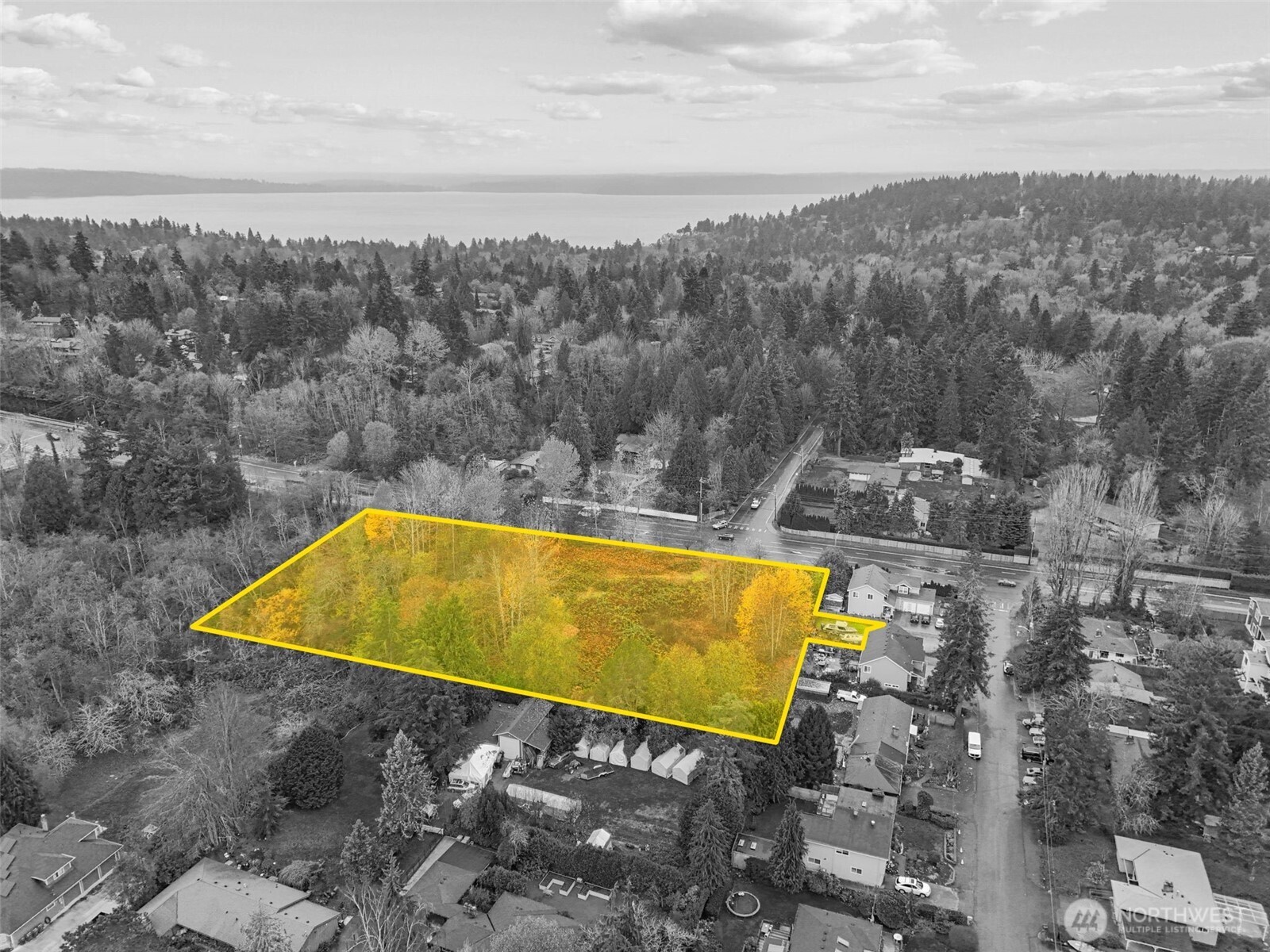 a view of a swimming pool with a yard