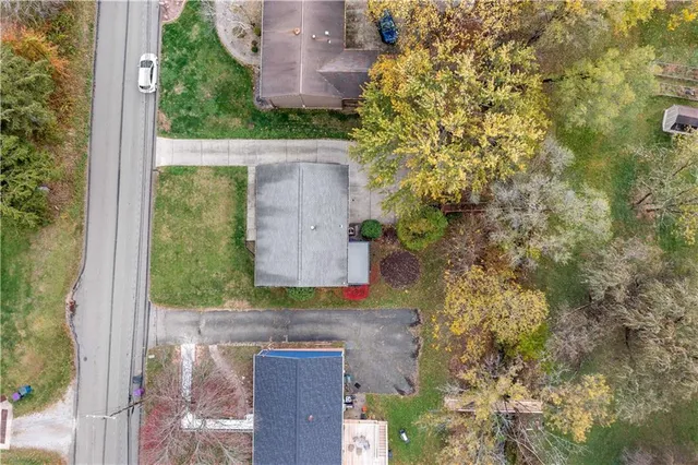 aerial view of a house with a yard and large tree
