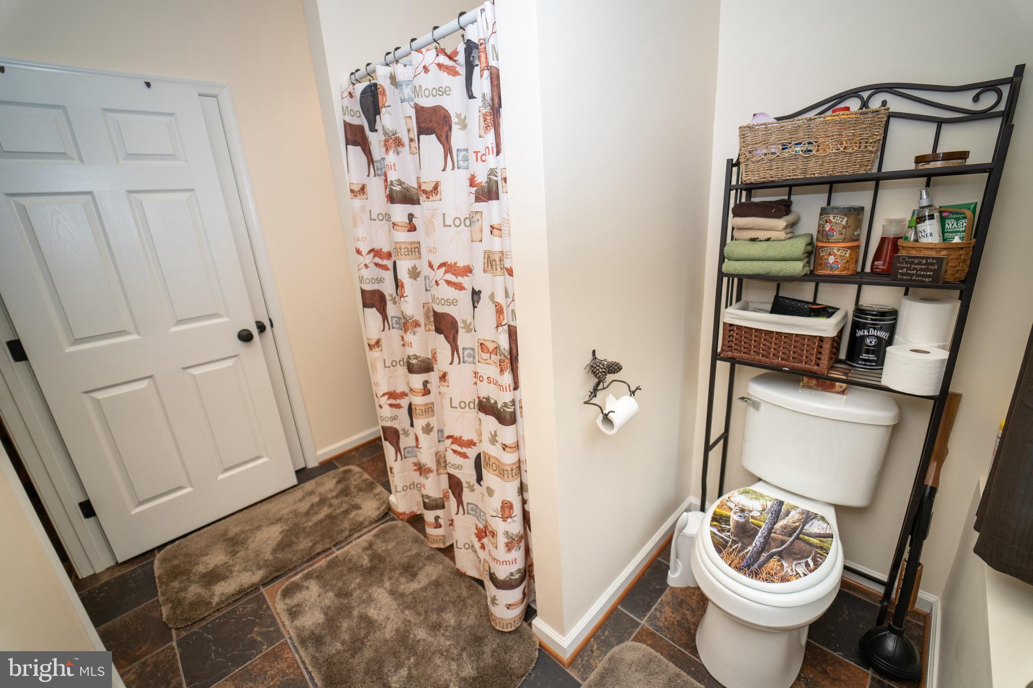 26585 Tatum Road Unionville, VA 22567 - Photo 66 of 76 Full Bath w/Shower in Garage Cabin Space