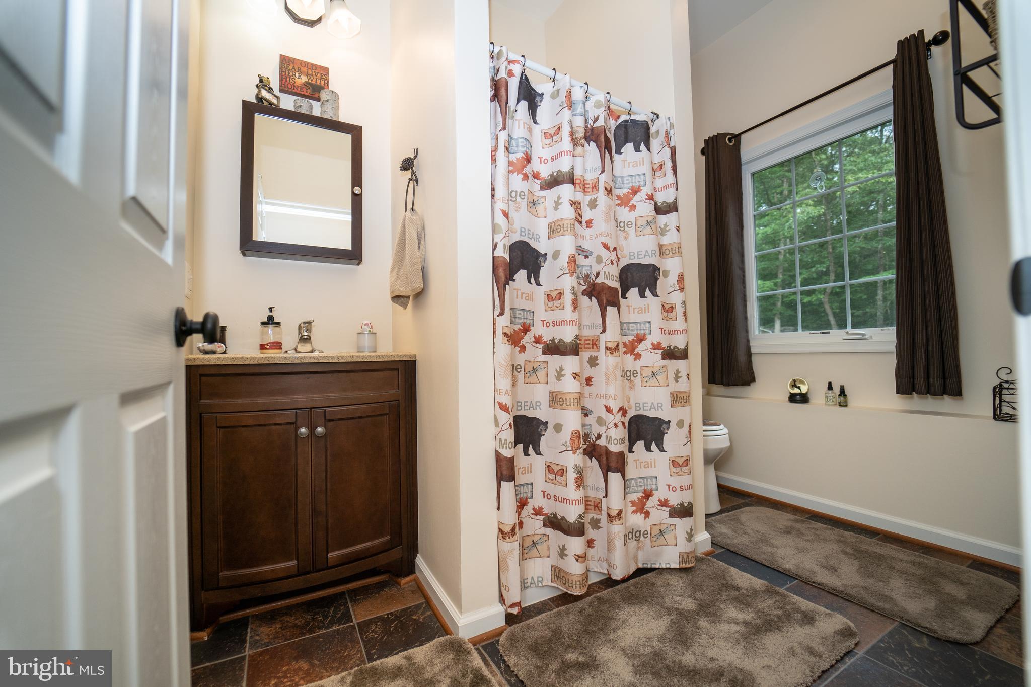 26585 Tatum Road Unionville, VA 22567 - Photo 67 of 76 Full Bath in in Garage Cabin/Efficiency Space