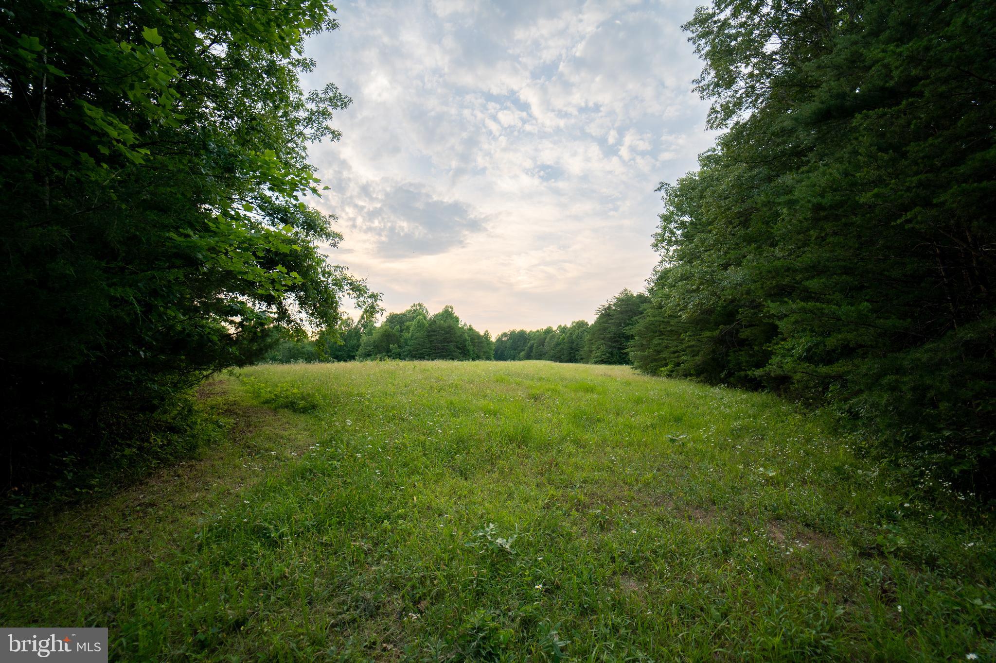 26585 Tatum Road Unionville, VA 22567 - Photo 70 of 76 View