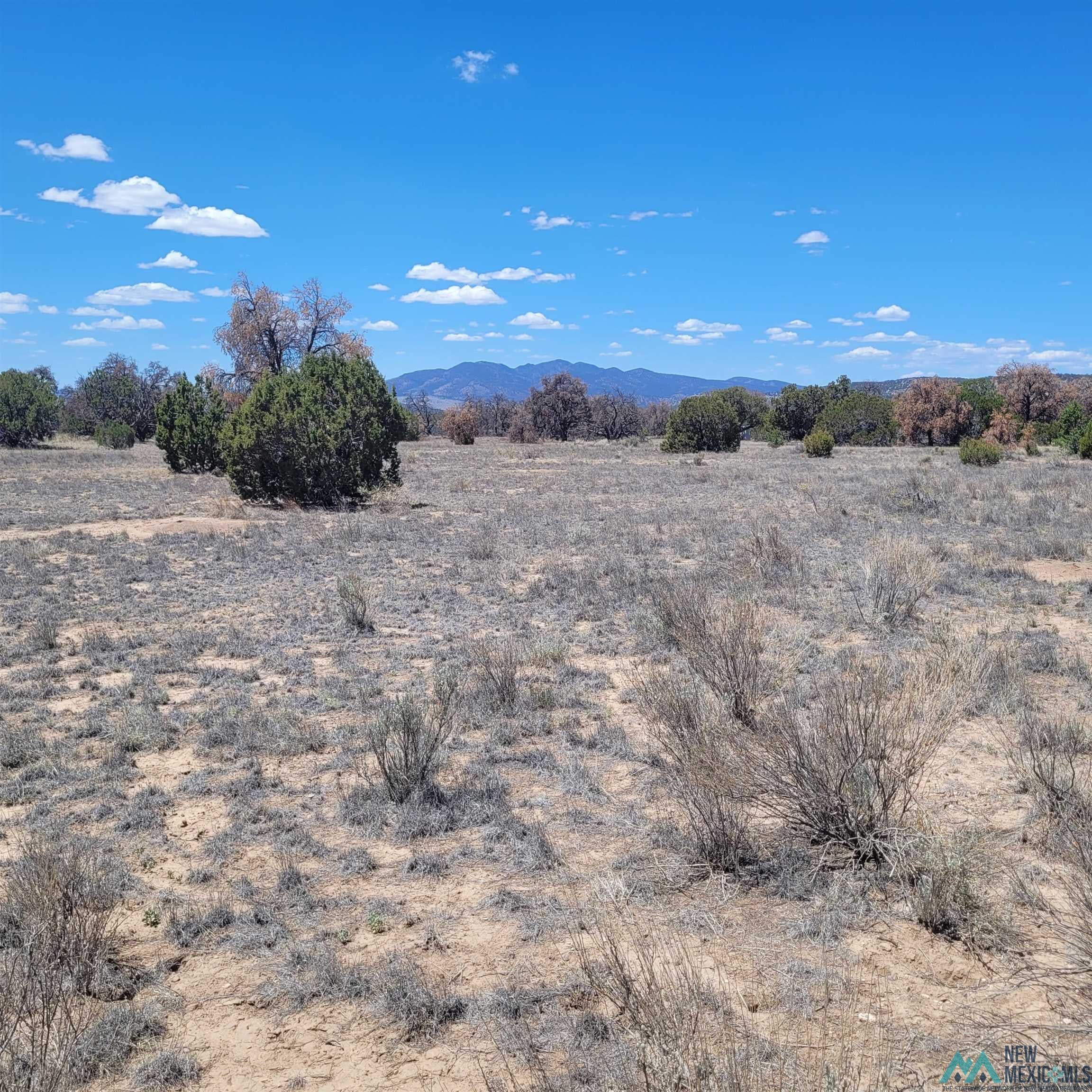 47 Southern Trail, Unit 48 47 Datil, NM 87821 - Photo 27 of 46 Gallery Image 27