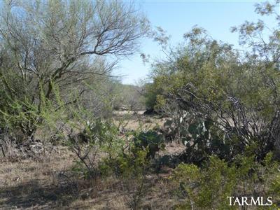 0 East Derrio Canyon Road Marana, AZ 85658 - Photo 2 of 11