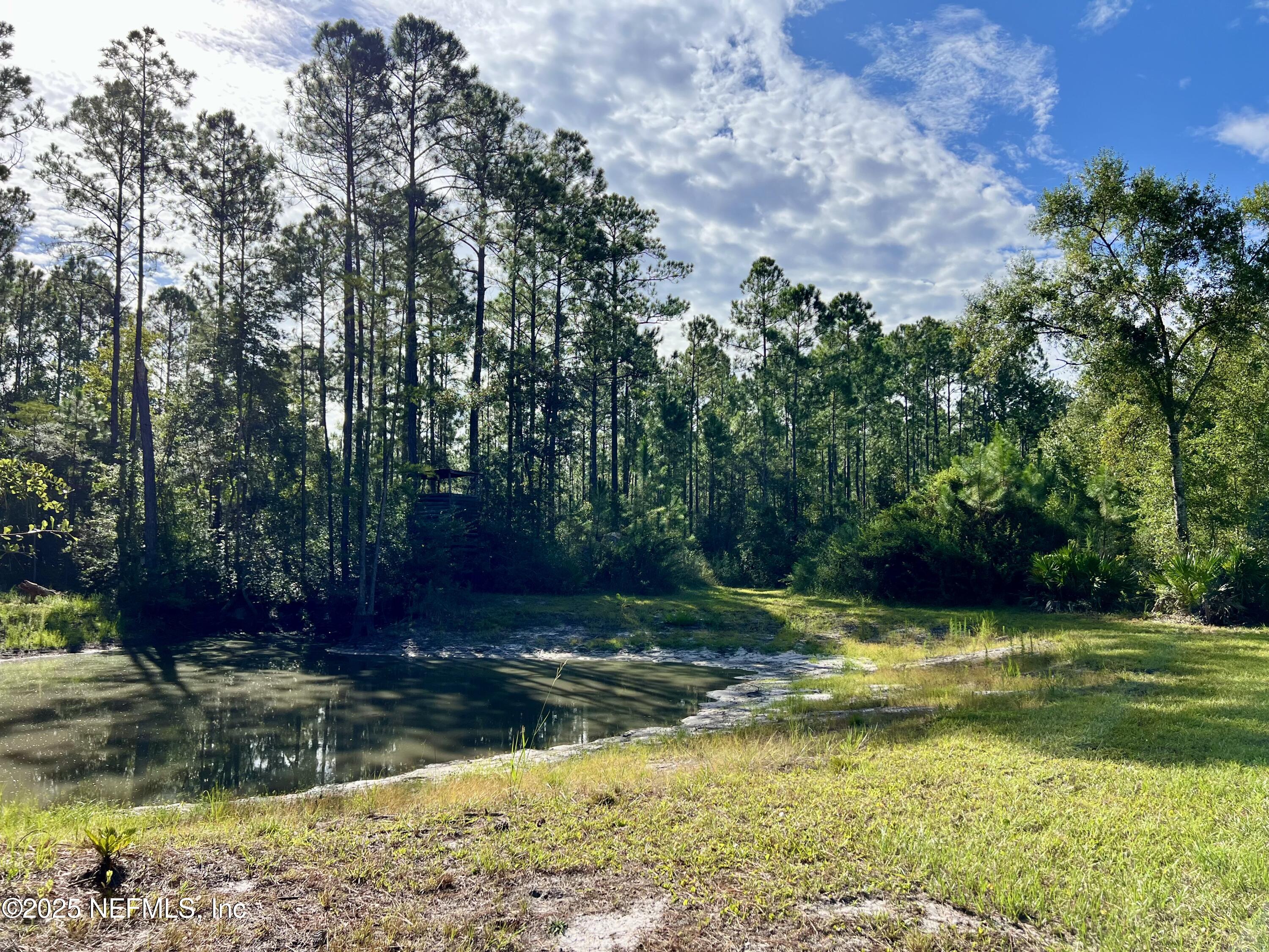 8981 Monette Road Jacksonville, FL 32234 - Photo 16 of 77 IMG_0339