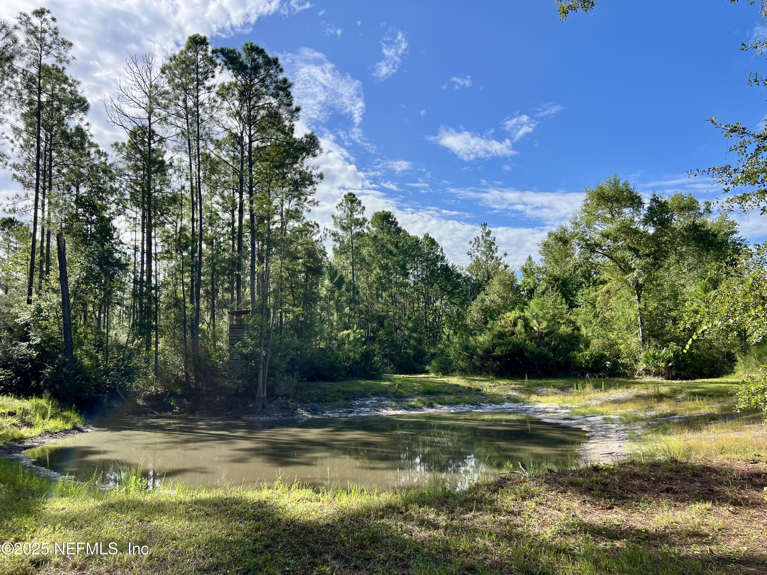 8981 Monette Road Jacksonville, FL 32234 - Photo 17 of 77 IMG_0341