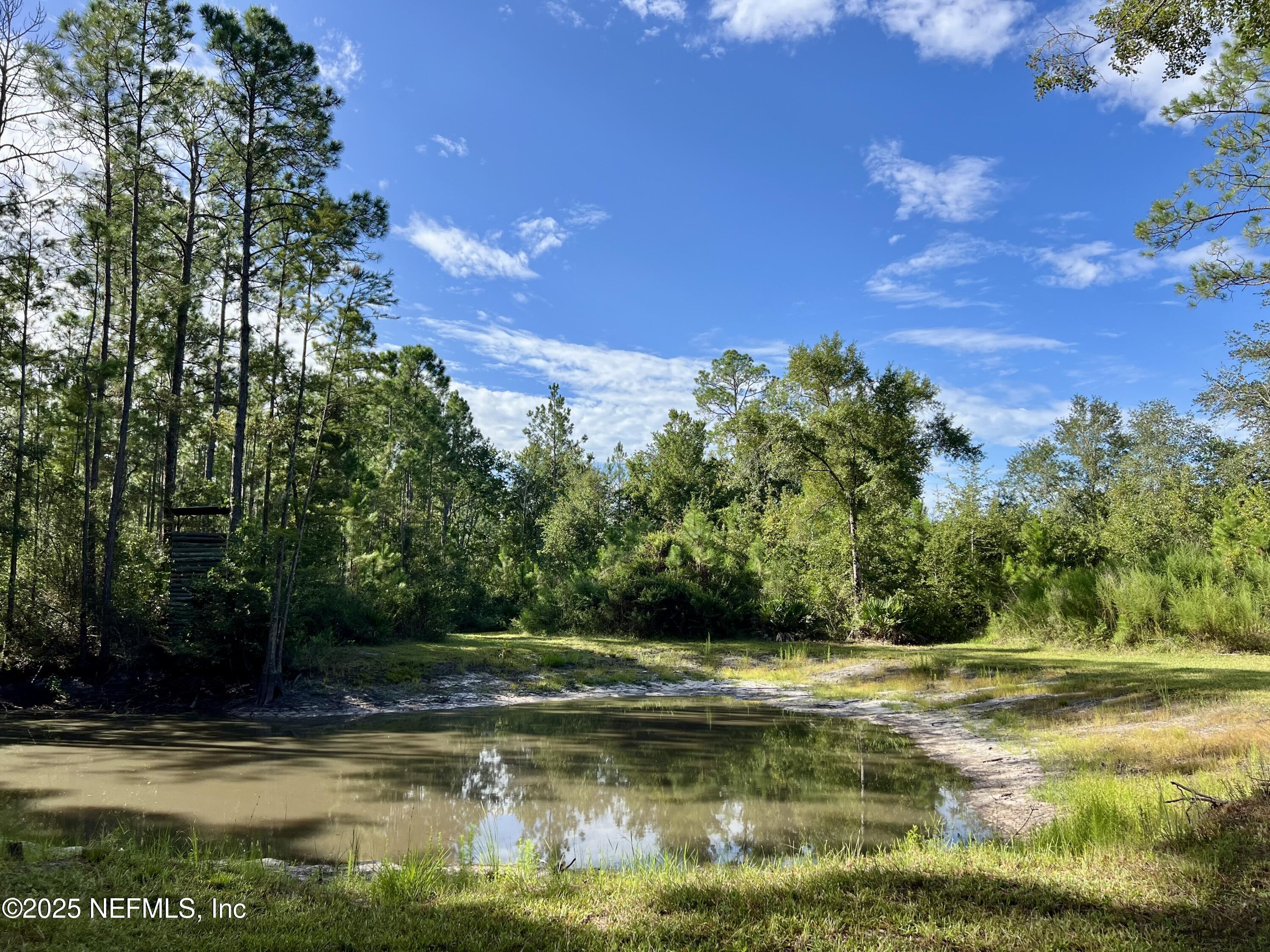 8981 Monette Road Jacksonville, FL 32234 - Photo 18 of 77 IMG_0342