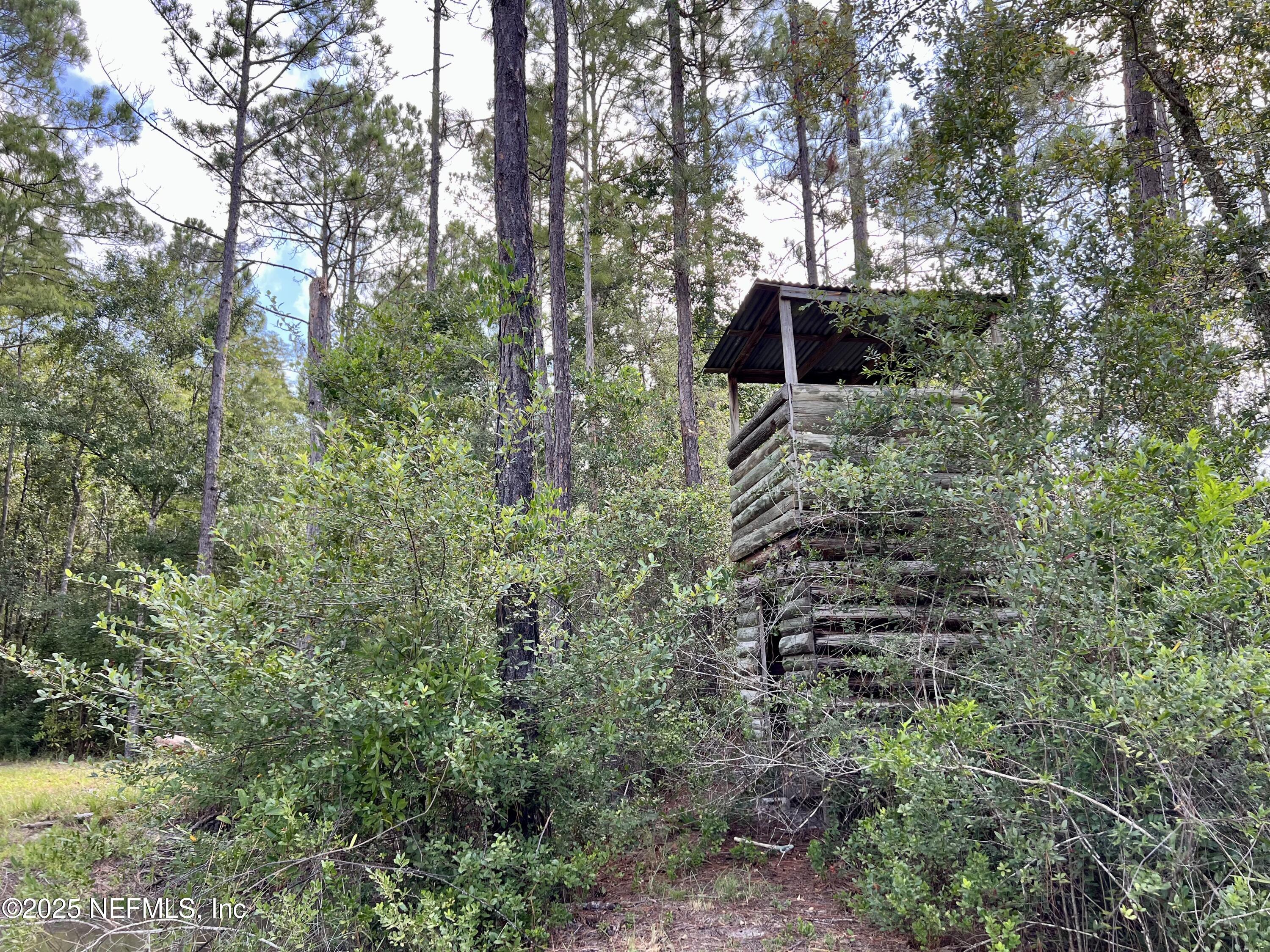 8981 Monette Road Jacksonville, FL 32234 - Photo 76 of 77 IMG_0421