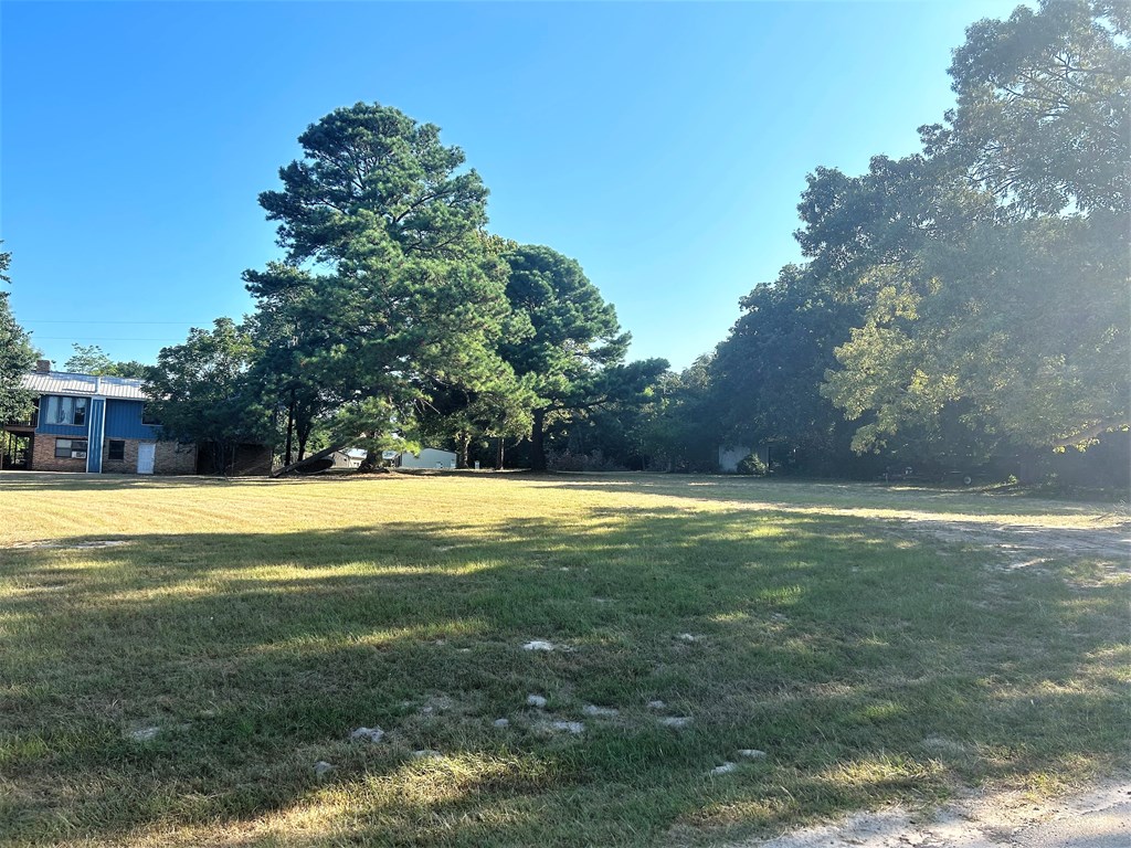 22 R Cr Athens, TX 75752 - Photo 3 of 5