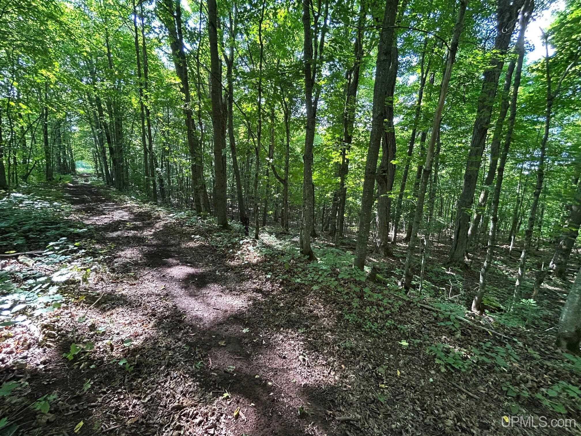 1700 Palms Road Bessemer, MI 49911 - Photo 29 of 44 Gallery Image 29