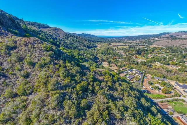 a picture of flowers