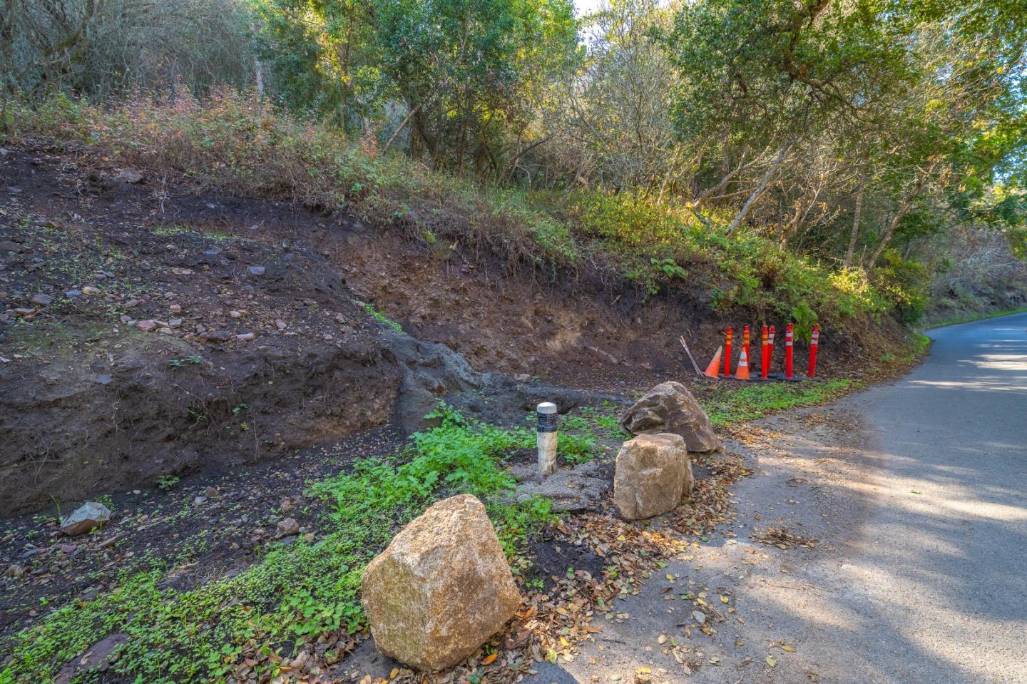 27631 Schulte Road Carmel, CA 93923 - Photo 19 of 21 a backyard of a house with lots of green space