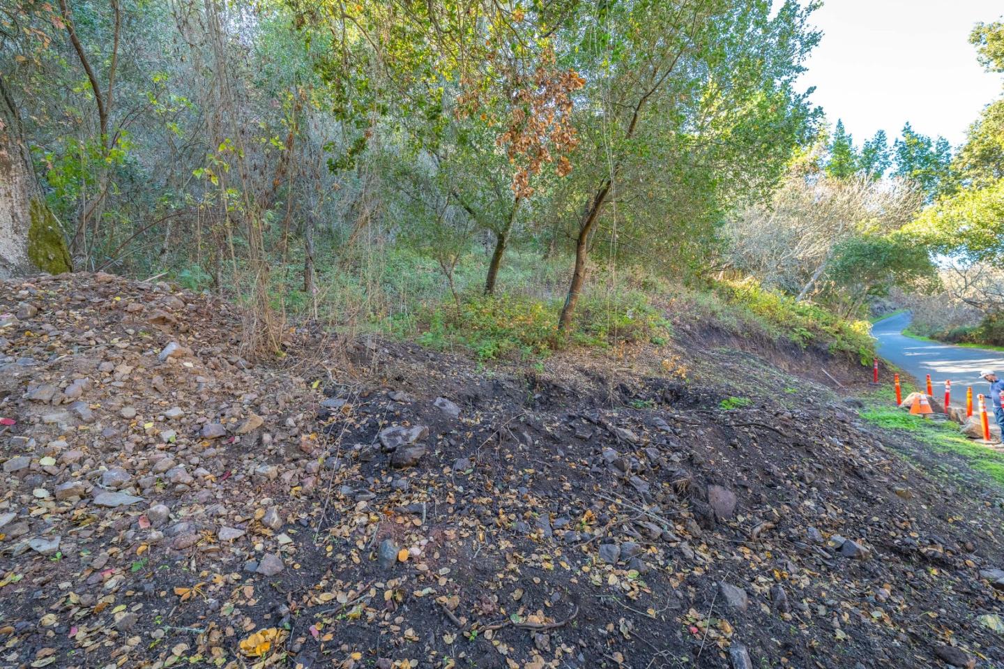 27631 Schulte Road Carmel, CA 93923 - Photo 21 of 21 a view of a yard with plants and trees