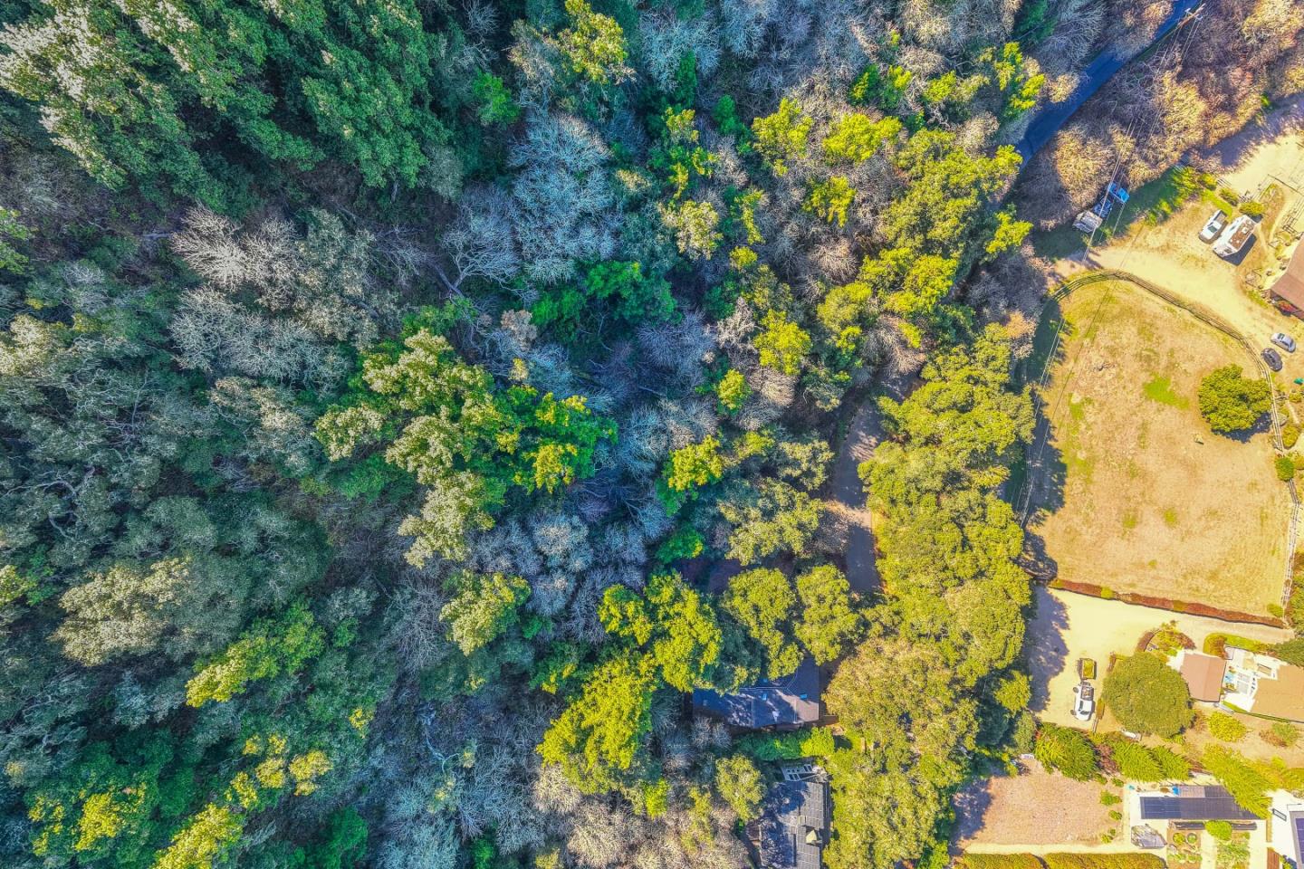 27631 Schulte Road Carmel, CA 93923 - Photo 8 of 21