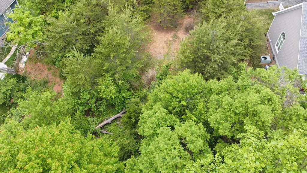 449 Laurel Ridge Lane Knoxville, TN 37922 - Photo 12 of 16
