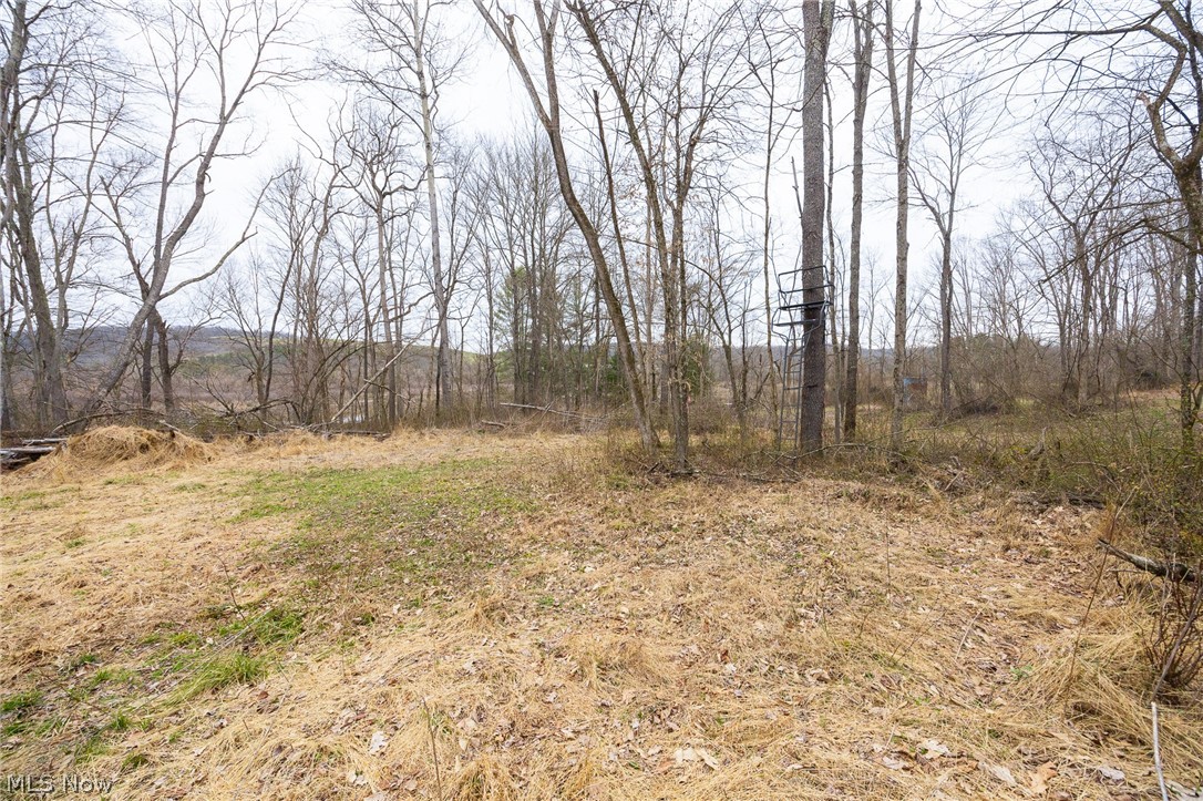 71 Township Road Killbuck, OH 44637 - Photo 8 of 39
