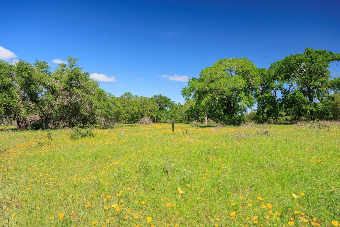 480 Blue Creek Road Dripping Springs, TX 78620 - Photo 6 of 9
