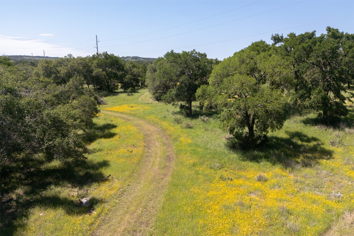480 Blue Creek Road Dripping Springs, TX 78620 - Photo 7 of 9