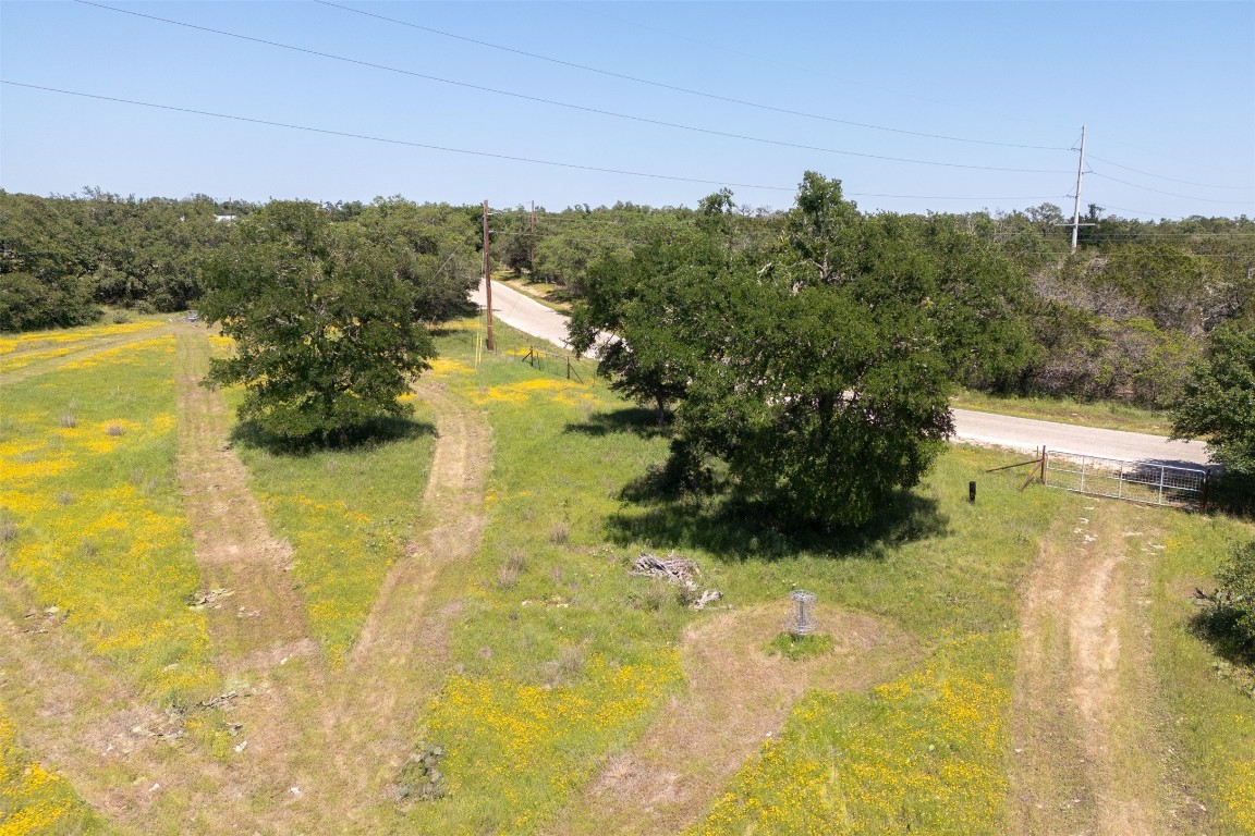 480 Blue Creek Road Dripping Springs, TX 78620 - Photo 8 of 9
