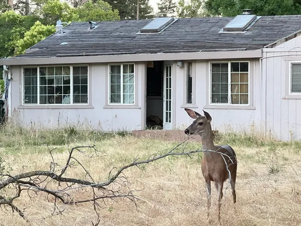 $380,000 | 3244 Panama Avenue, Carmichael, CA 95608
