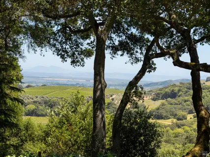 $4,995,000 | 3810 White Alder, Sonoma, CA 95476