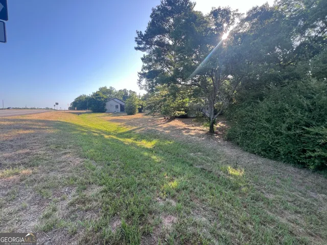 a view of a field with an trees