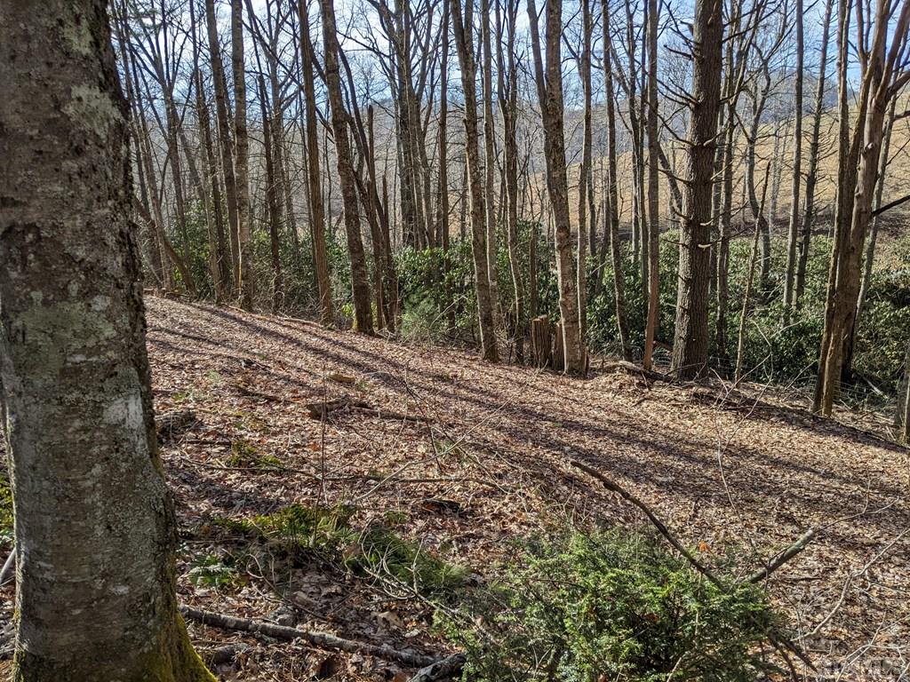 Lot 1 Big Ridge Road Glenville, NC 28736 - Photo 8 of 11 Gallery Image 8