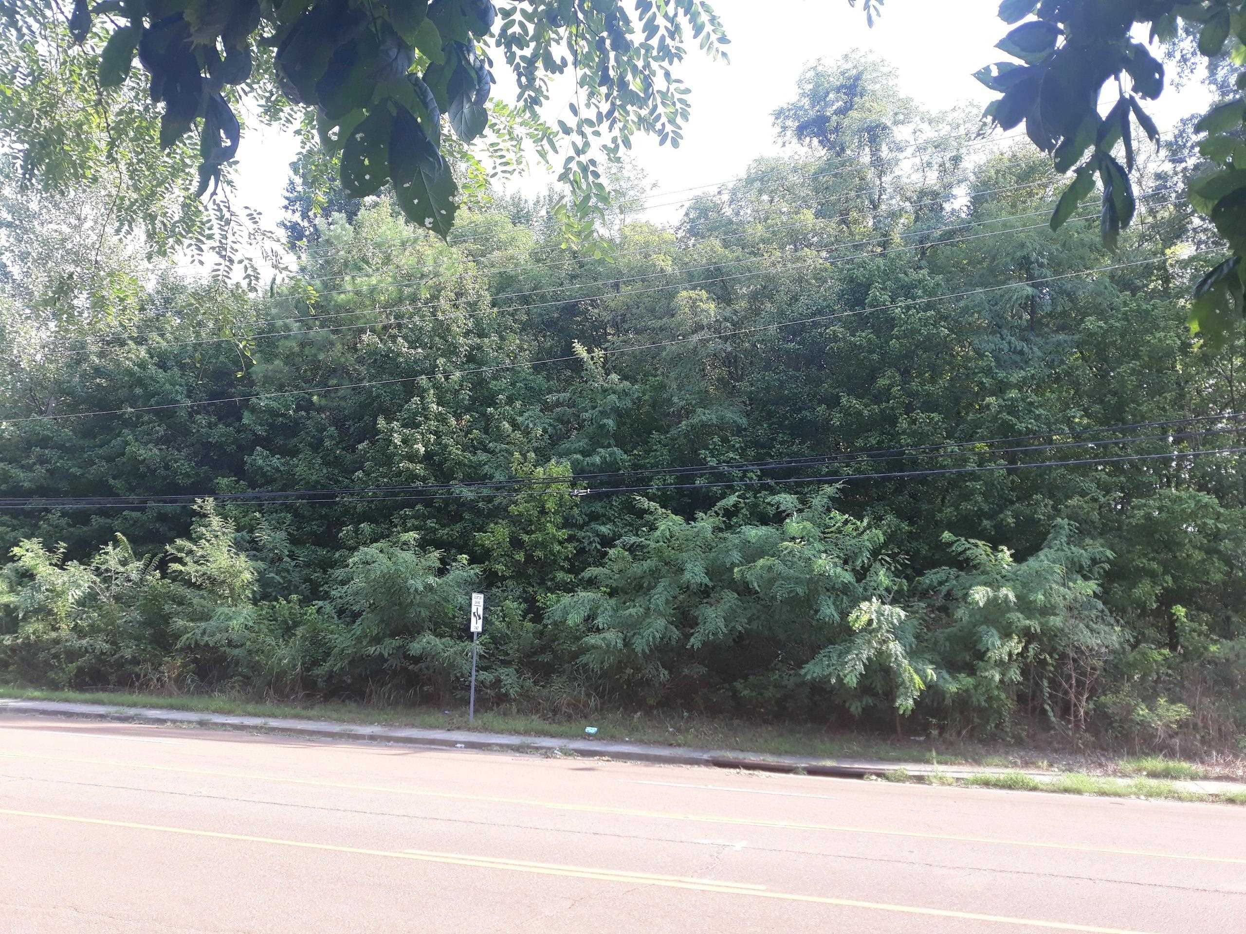 1307 West Raines Road Memphis, TN 38109 - Photo 2 of 4 a view of a yard from a balcony