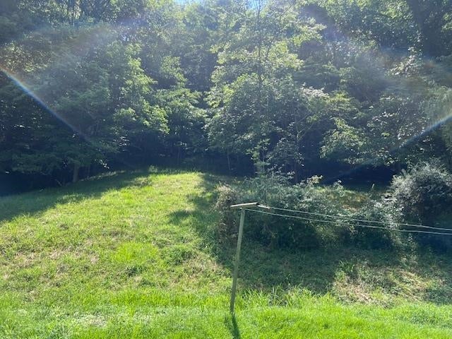 1497 Newcomb Crk Road Wayne, WV 25570 - Photo 25 of 27 Gallery Image 25