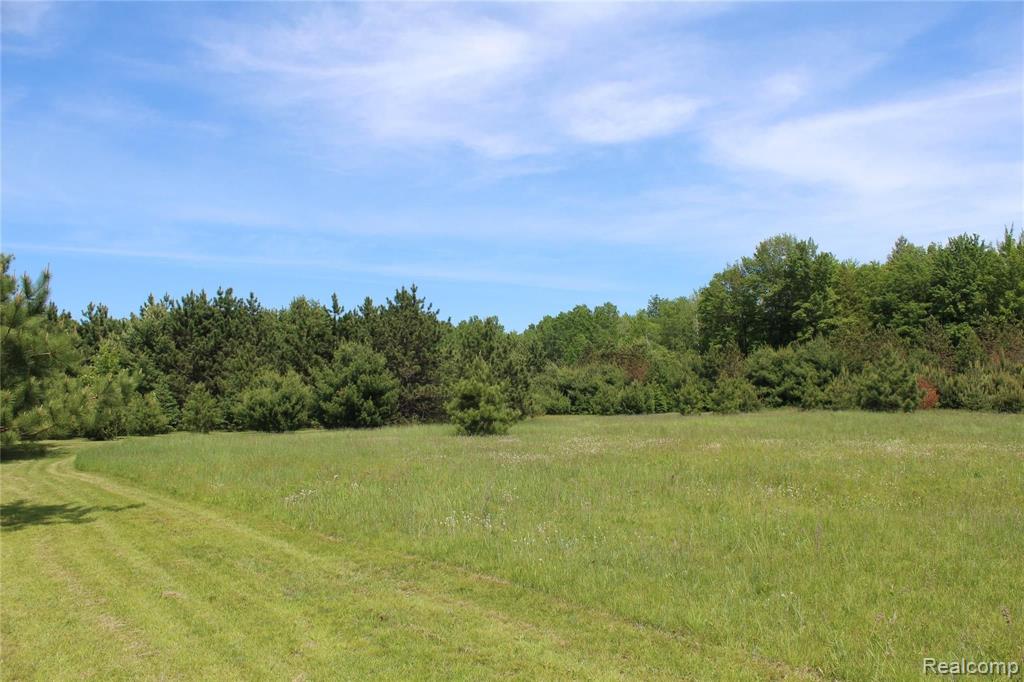 1165 East Heil Road Gladwin, MI 48624 - Photo 13 of 73