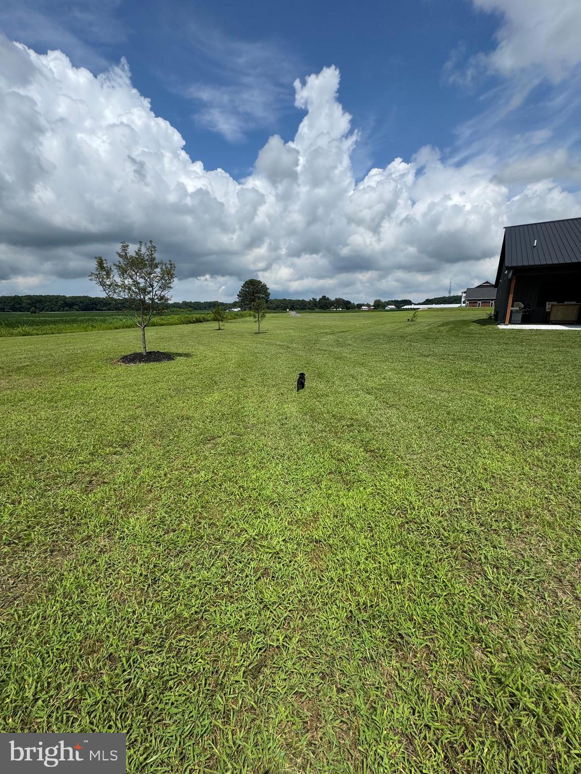 26067 Goldsboro Road Goldsboro, MD 21636 - Photo 4 of 21