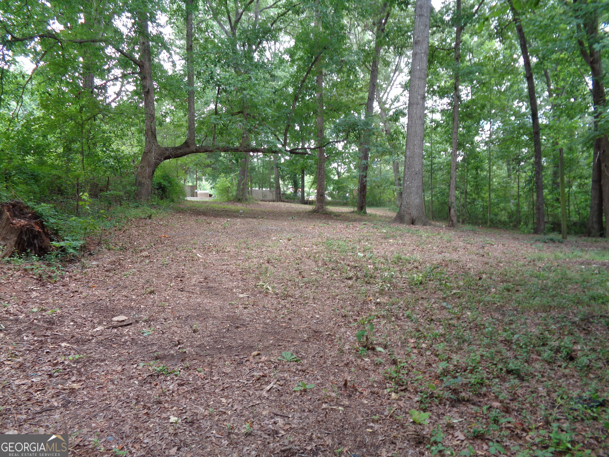 2411 Kesler Road Carnesville, GA 30521 - Photo 28 of 61 a view of a forest with trees in the background
