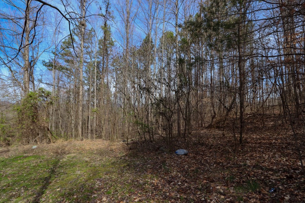 215 Wilkerson Road Mosheim, TN 37818 - Photo 15 of 20 Gallery Image 15