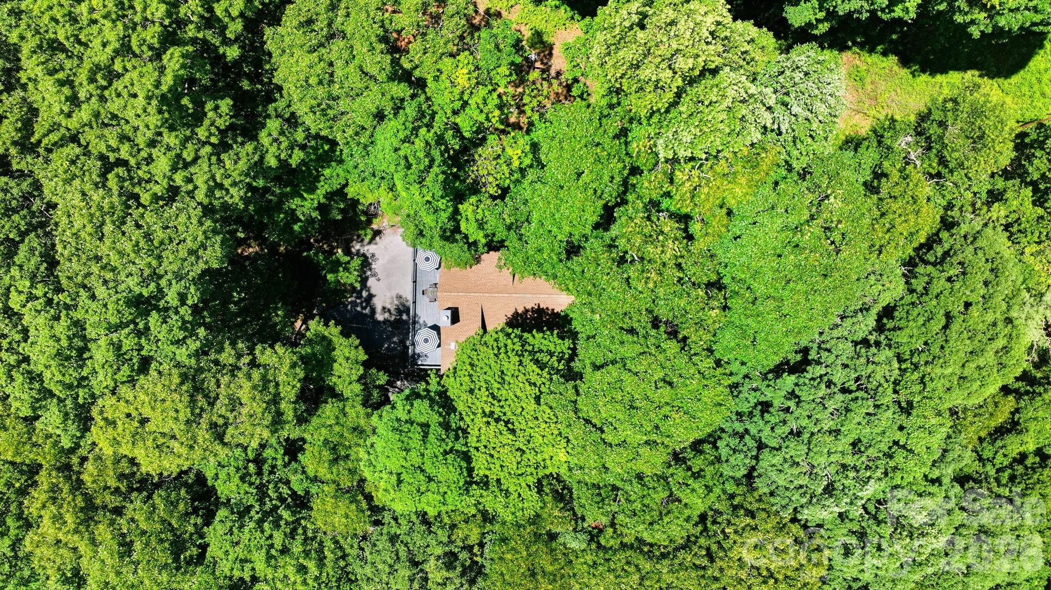 3819 Flat Mountain Road Highlands, NC 28741 - Photo 47 of 48