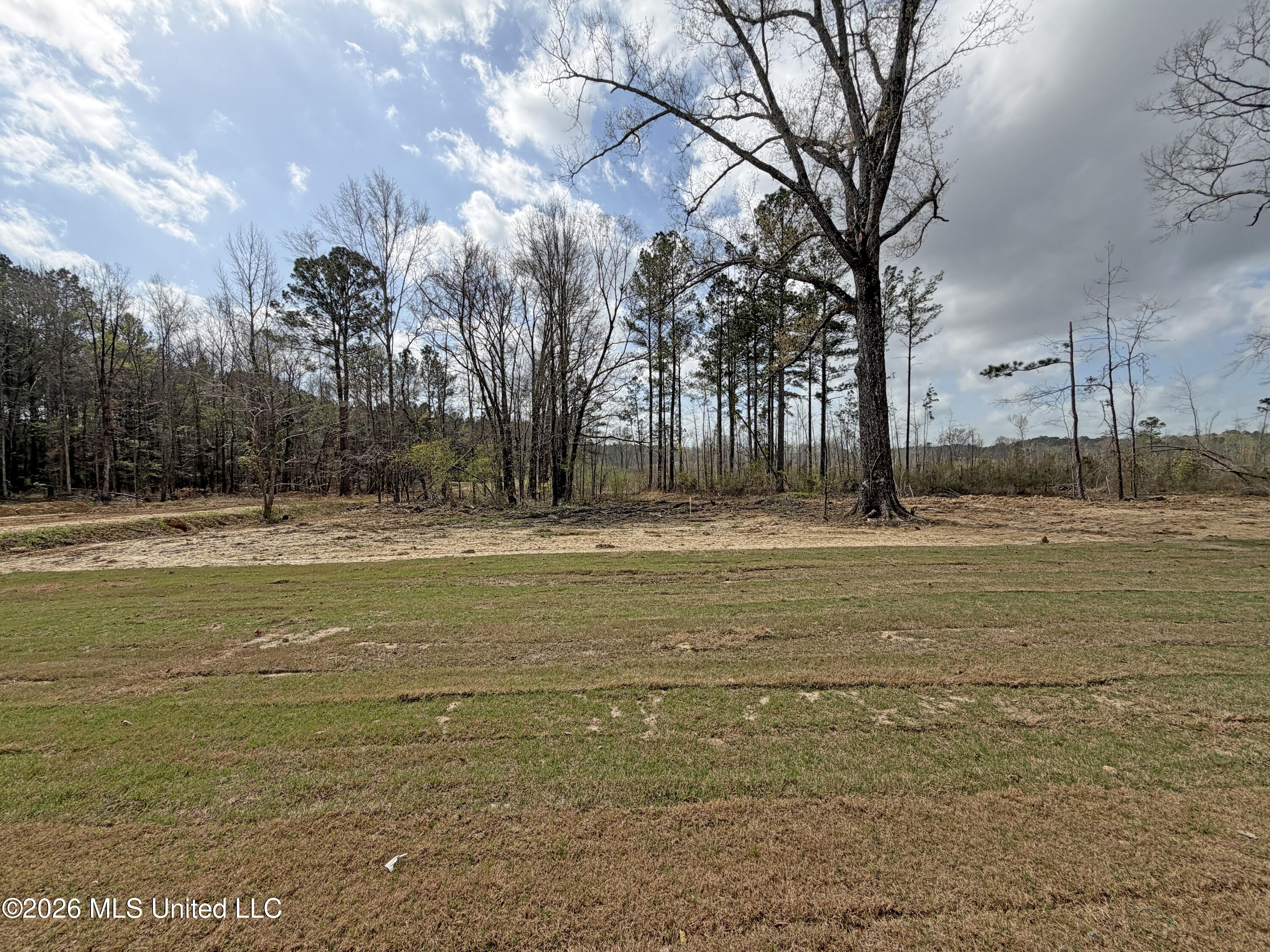 312 Stronghold Drive Brandon, MS 39042 - Photo 36 of 38 Photo Mar 07 2026, 10 13 20 AM