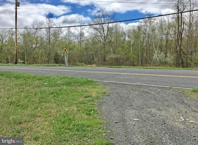 a view of a yard with a street