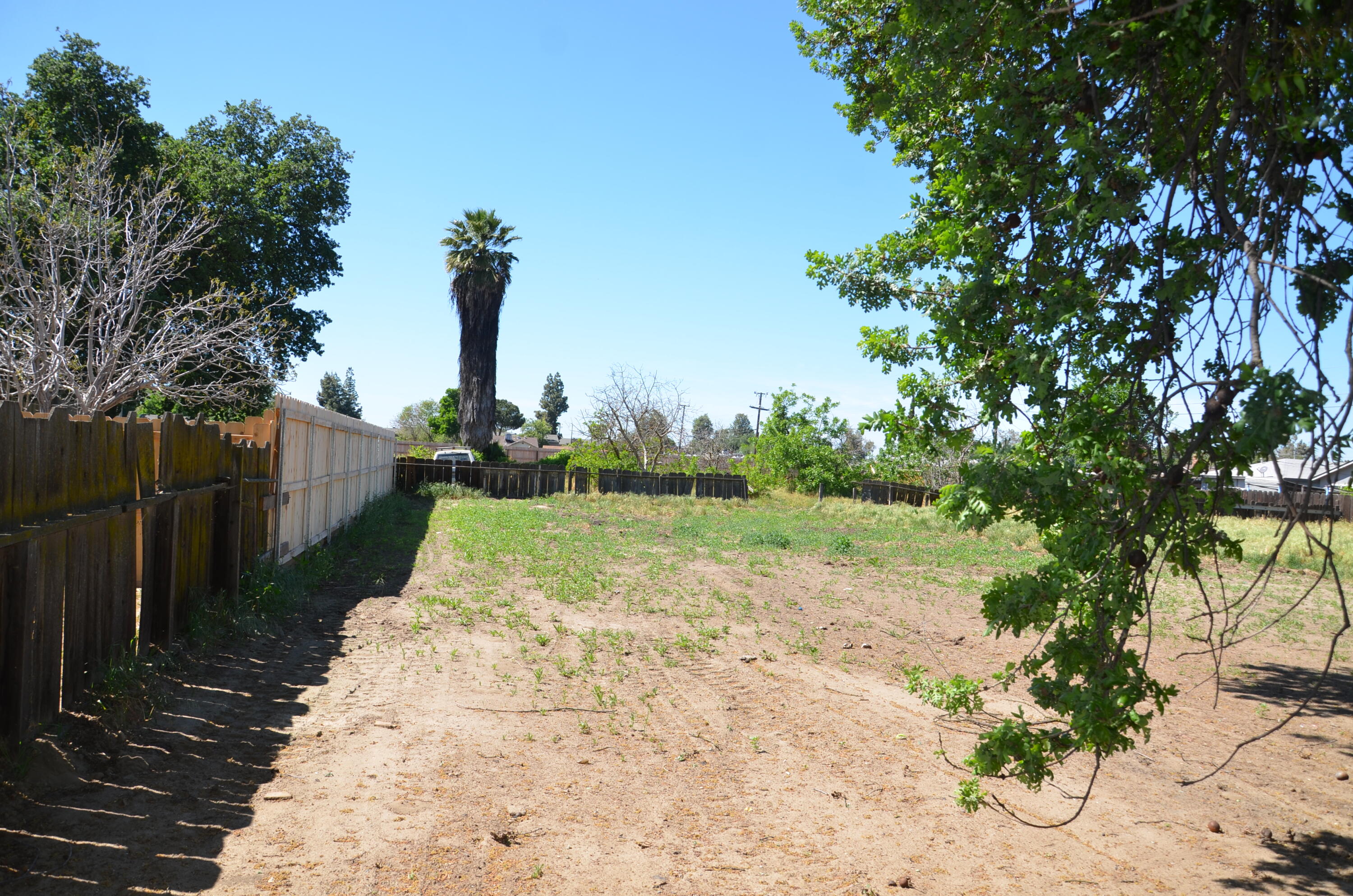 237 Smith Avenue Lemoore, CA 93245 - Photo 23 of 26 DSC_5035