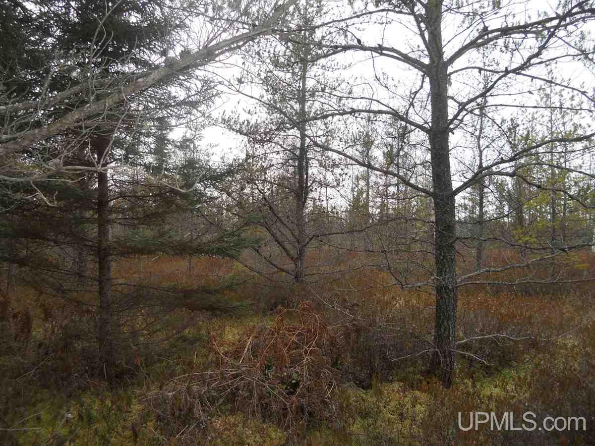 Tbd Garden Grade Road Garden, MI 49835 - Photo 1 of 5