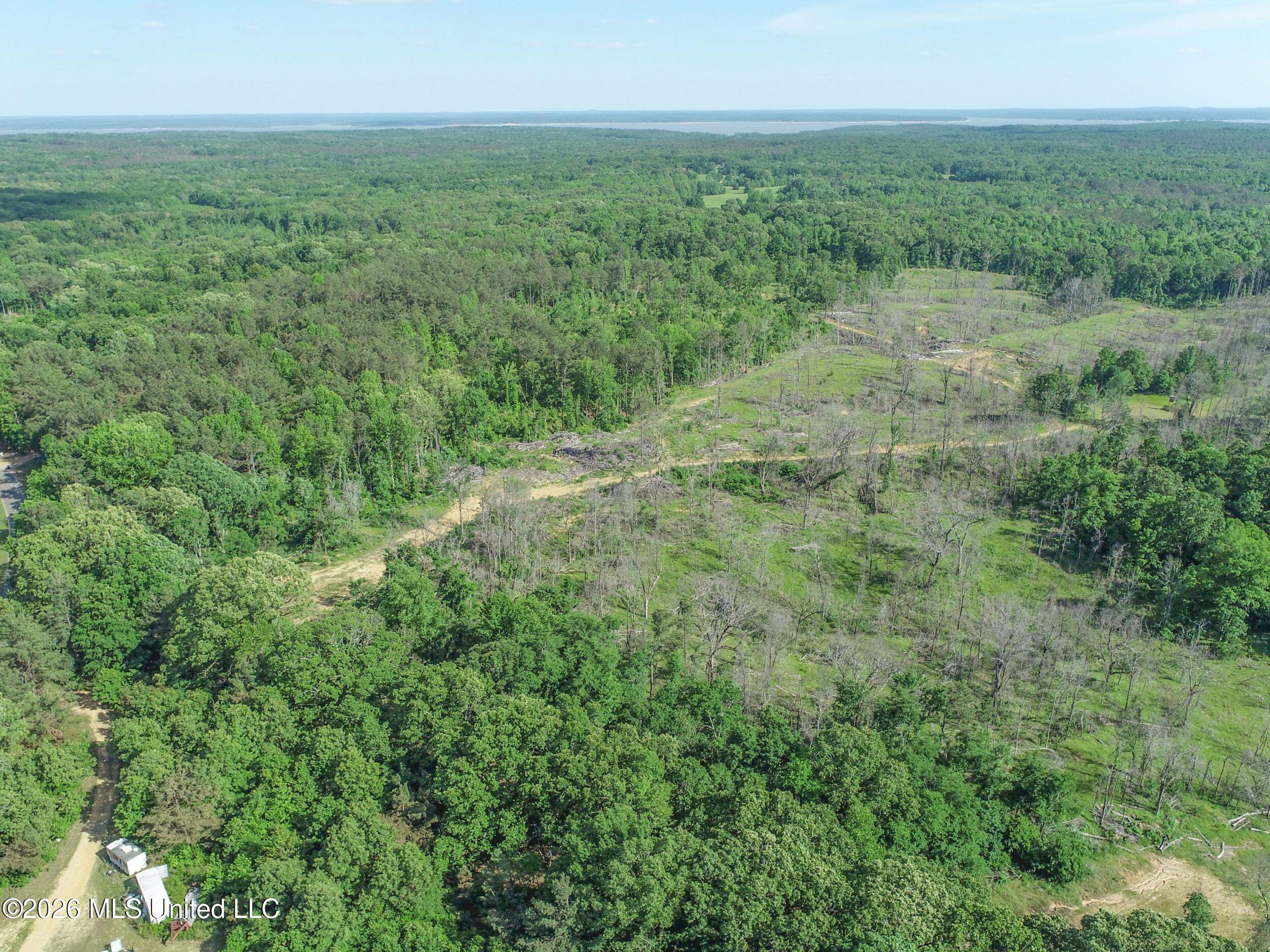 Wayne Massie Road Como, MS 38619 - Photo 19 of 184 3ctwmrd4