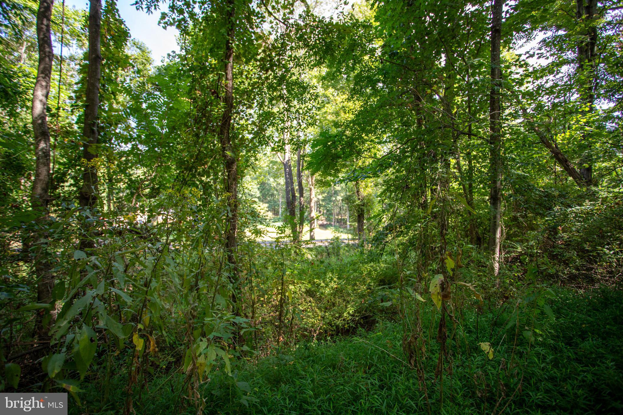 Tbd Jackson Lane Boston, VA 22713 - Photo 14 of 32